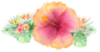 icon madeira holiday home flower - why stay with us